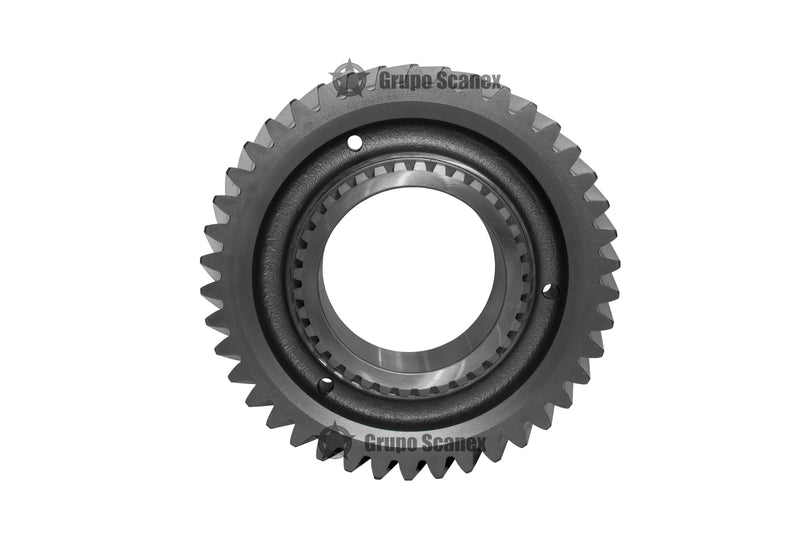 PIÑON 42 D. GR905/GR905R 2028649