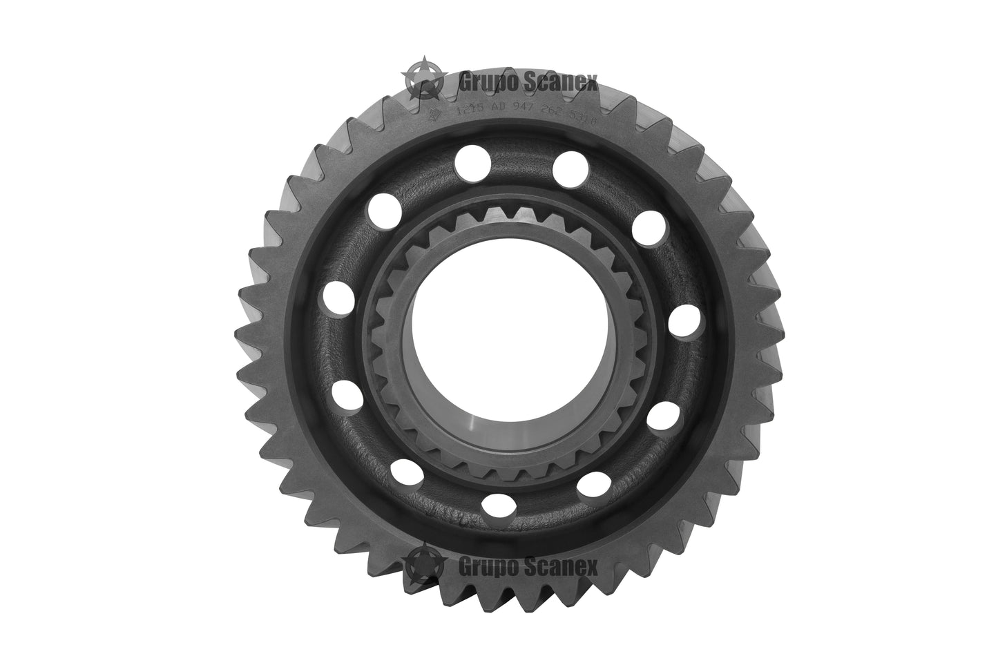 PIÑON 1A. 41 D G211-12 KL 947 262 5310